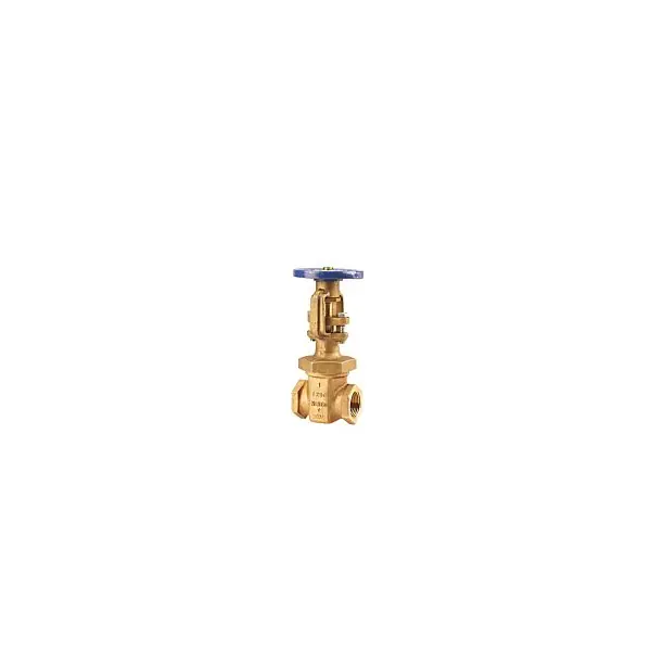 Watts 275264 174A-1-100# 2,635,000 RELF VLV