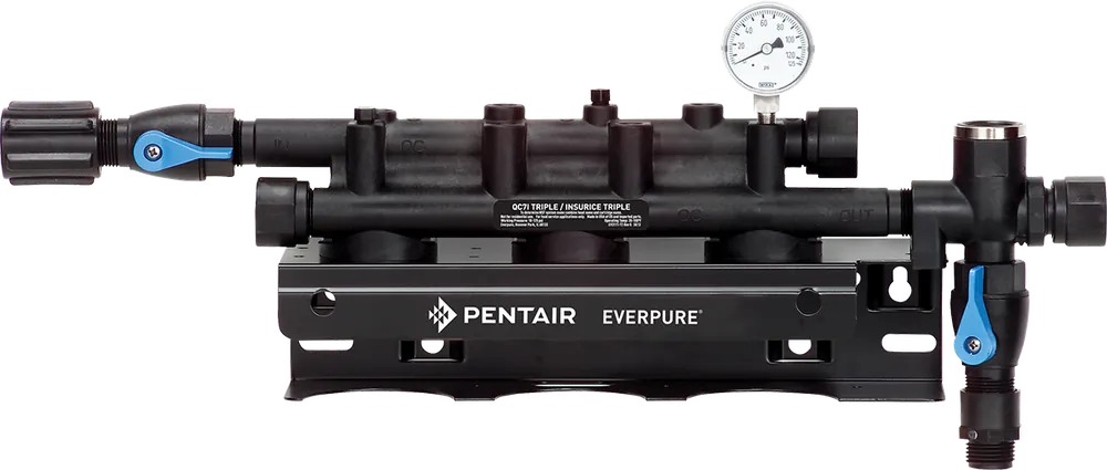 Pentair EV933611 FILTER HEAD - QUAD