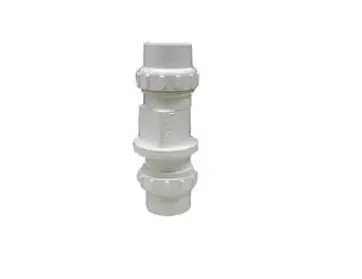 Legend Valve 203-248 2 S-672 PVC True Union Check