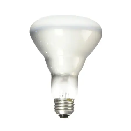 Sylvania 45BR30/FL/RP-120V/15103 Inside Frosted Flood 120 Volt 45 W Replacement