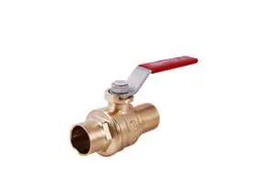 Legend Valve 203-104 3/4 T-611 PVC Check Valve