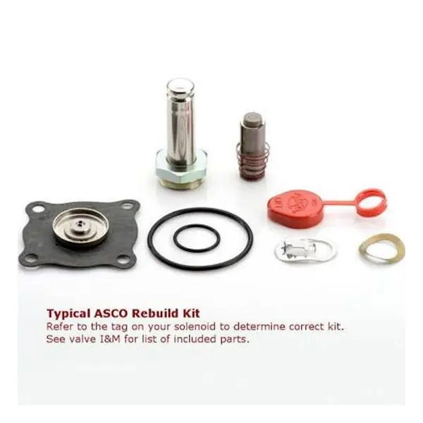ASCO 325-029 Repair Kit