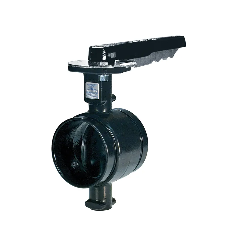 Anvil 7005011767 Fig AN-7721-3 Butterfly Valve, 2-1/2 In, Grooved, Ductile Iron Body, Domestic