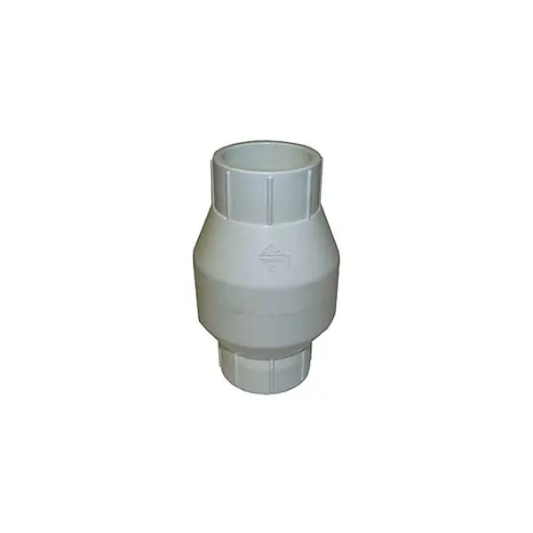Legend Valve 203-105 1 T-611 PVC Check Valve