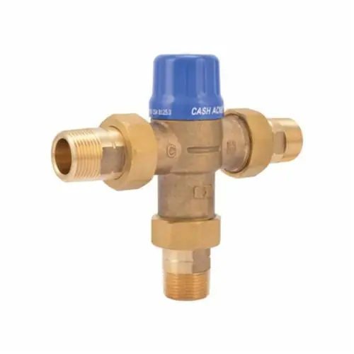 Cash Acme 24511 3/4 HG110-D with Threaded MNPT Connections and Integral Checks