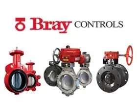 Bray BRY-310600-11010119 B-FLY VLV BDY 6IN