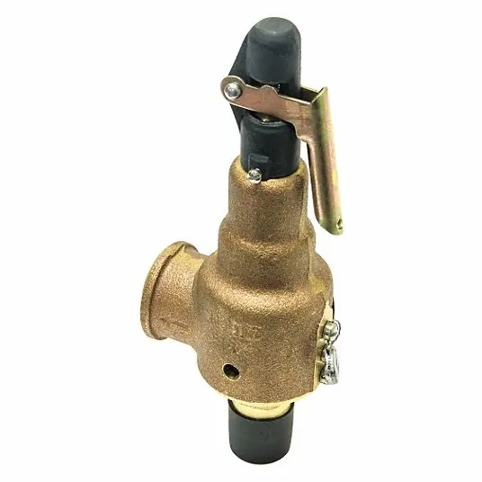 Kunkle Valve 6010HGM01AAM0200 Steam Relief 200# 1.5x2