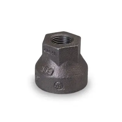 Everflow BSC21G 2 X 1 Cast Iron Hex Reducing Coupling