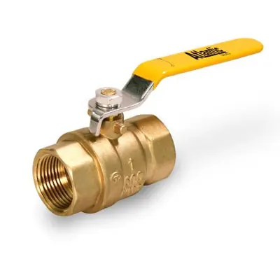 Everflow E-4342 3/4 IPS Full Port Ball Valve For Non-Potable Water Use