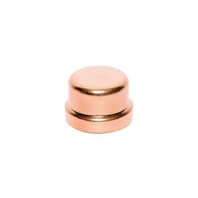 Everflow PTEC0300 Press Cap