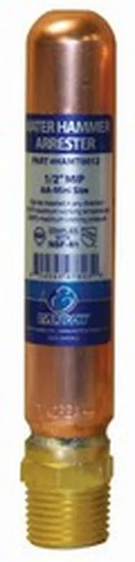 Everflow HR-D-114MPT-NL 1-1/4 M.P.T. Type D Water Hammer Arrester Lead Free