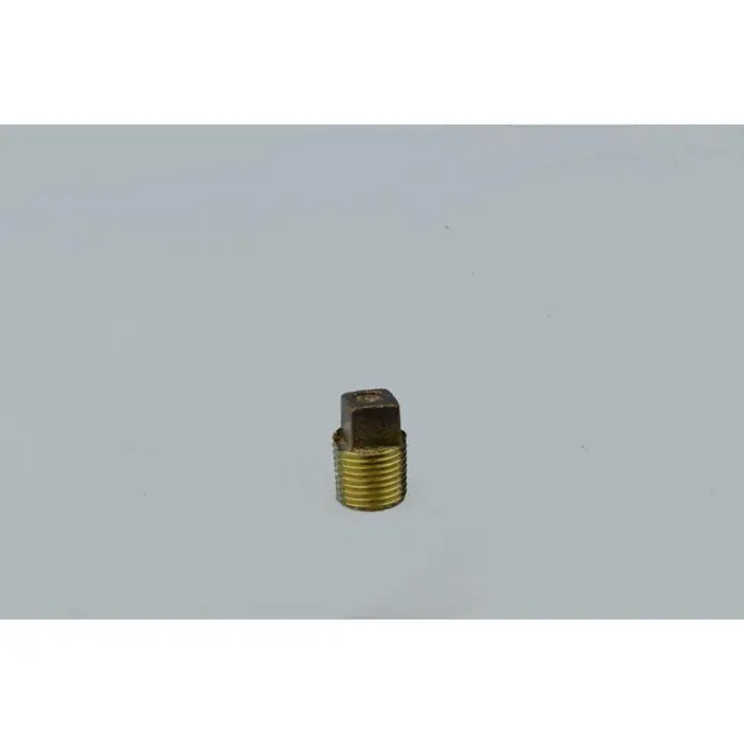 Everflow BRPL0012-NL 1/2 Plug Cored Brass Lead Free
