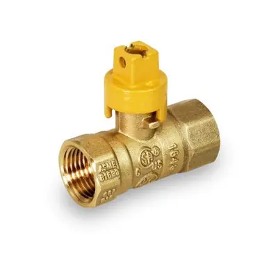 Everflow S4534 Gas Ball Valve with Screwdriver Slot FIP X FIP