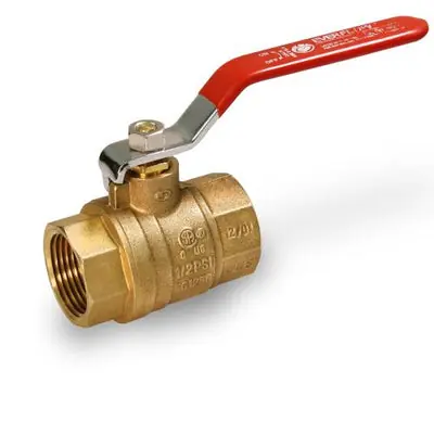 Everflow 300T004