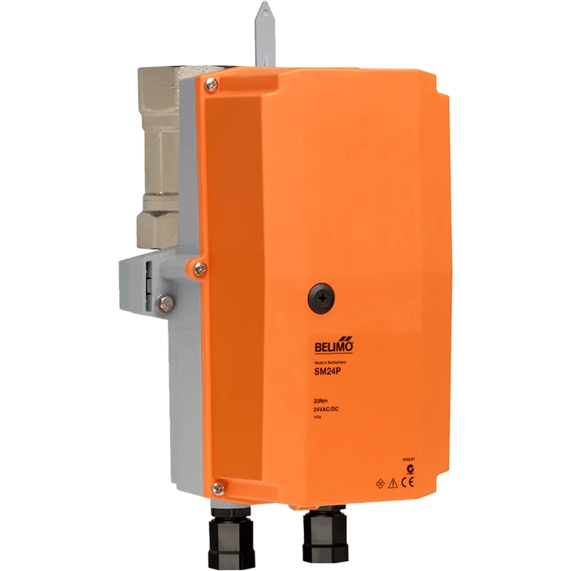 Belimo B263+AFRX24-MFT CCV Assembly 2 Way 2 1/2 in NPT