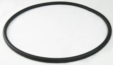 Pentair 174704 O-Ring 12-1/32 Diameter Tank