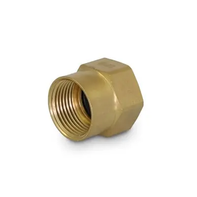Everflow G38-3434 3/4 FH X 3/4 FPT Adapter Brass Garden Hose Fitting, For Non Potable Use Only