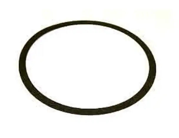 Armstrong Pumps 419016-000 Gasket-casing