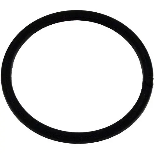 Waterway Plastics 711-6090 Gasket, Waterway Poly Jet, Internal, Black