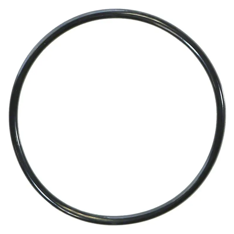 Pentair 590118Z Colorvision O-Ring