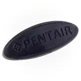 Pentair 360258 Rubber Button Kit