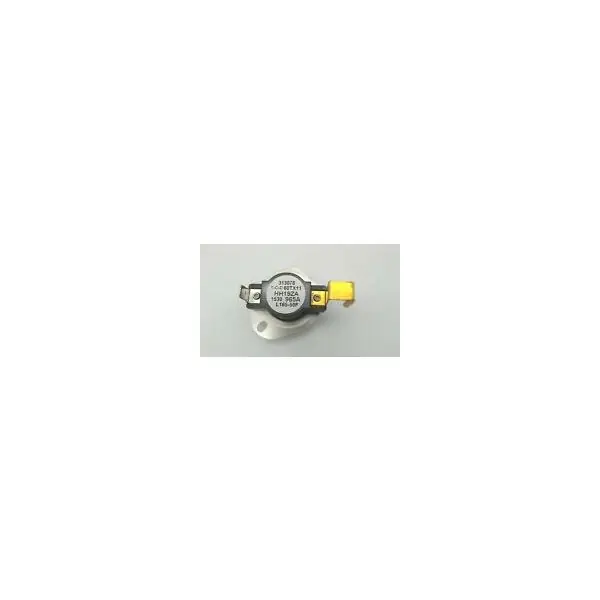 Lochinvar 100208814 60A Fast Acting Fuse