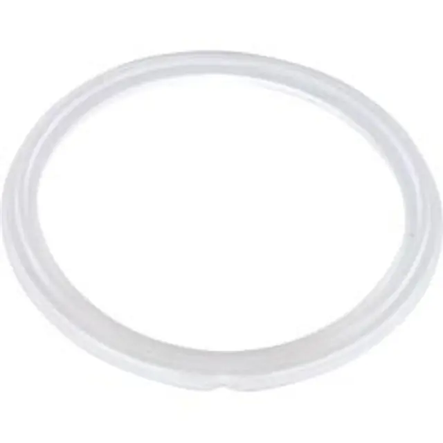 Waterway Plastics 711-6910 Gasket O-Ring Waterway Mini Storm