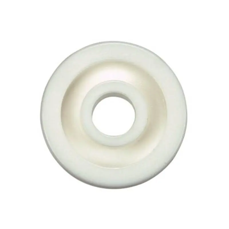 Pentair R03021Z Wheel Off