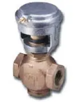 Johnson Controls VG7251NT+3003B Globe Valve Assembly 2 Way 1 in.