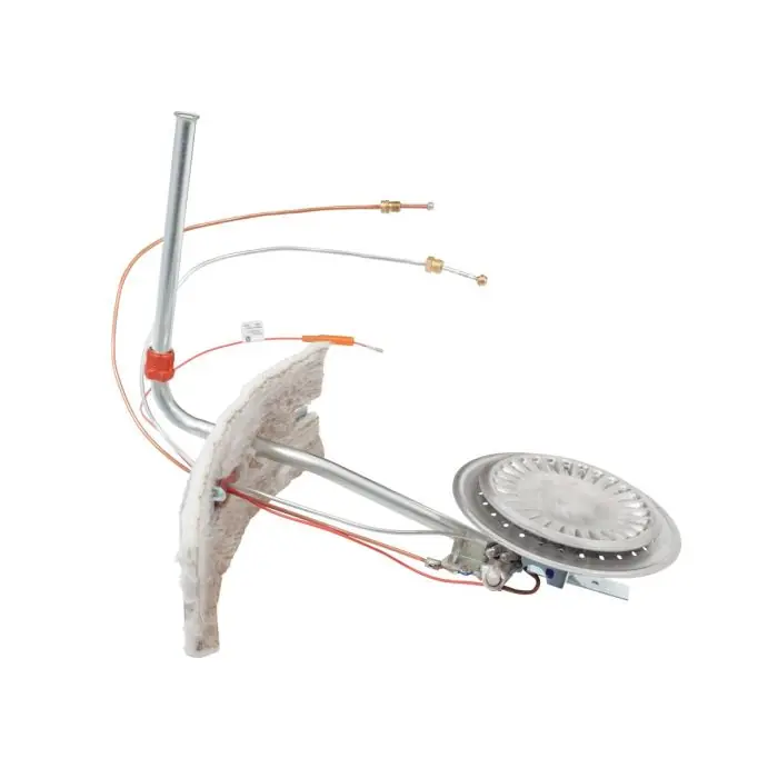 AO Smith 9003546005 Kit Burner Assy Lp