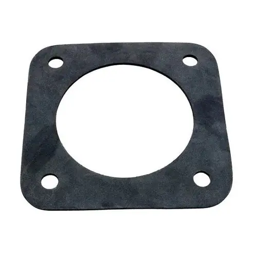 Pentair C20-123Z Pentair Gasket Suction Replacement Pentair C20-123Z