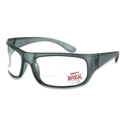 Anchor Brand 101-BF250 Bifocal Specs 2.50 Diopter