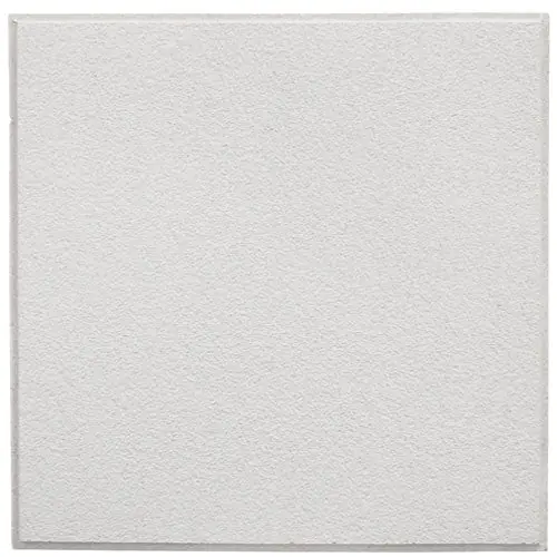 Tile Ceiling 2' X 2' X 3/4 for Mavrik 1591173