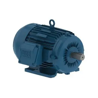 WEG 01018ET3E215T-W22 AC Motor 10 hp 213/5T Frame