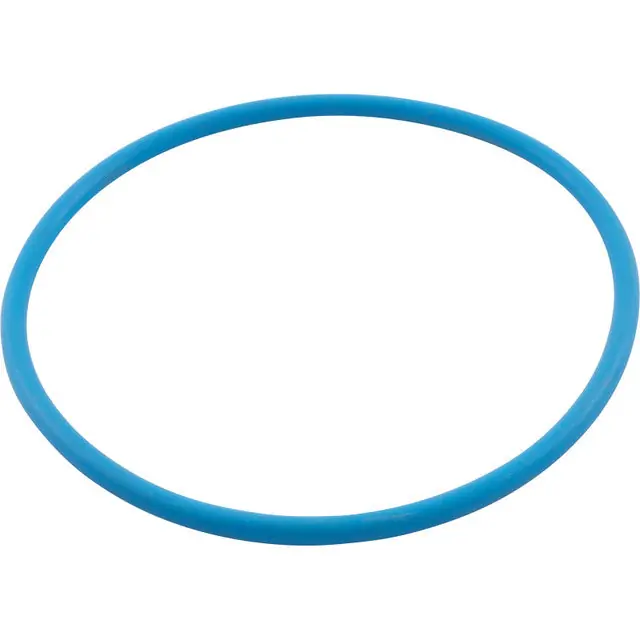 Waterco WC64100 O-Ring Waterco Chlorinator Lid Viton