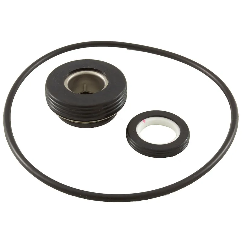 Raypak 018227F Mechanical Seal Kit