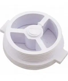 Pentair 08655-0007 Check Valve