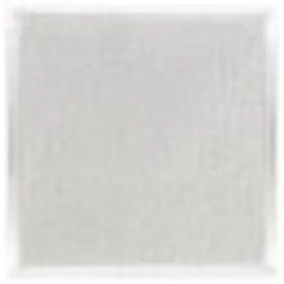 Broan S97021045 Main Filter