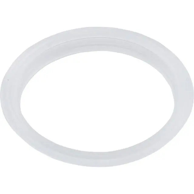 Waterway Plastics 711-6900 Gasket L Mini Storm