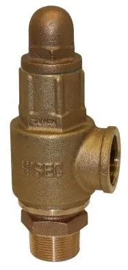 Merrill Manufacturing PRVHDNL125 1-1/4 Inch Heavy Duty Pressure Relief Valve