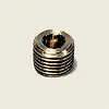 Legris 02051300 Brass Hex Plug 1/4 in