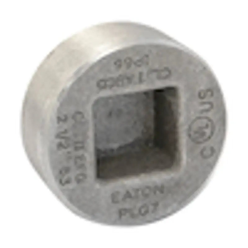 Multiple PLG6 2IN Recessed Head Plug