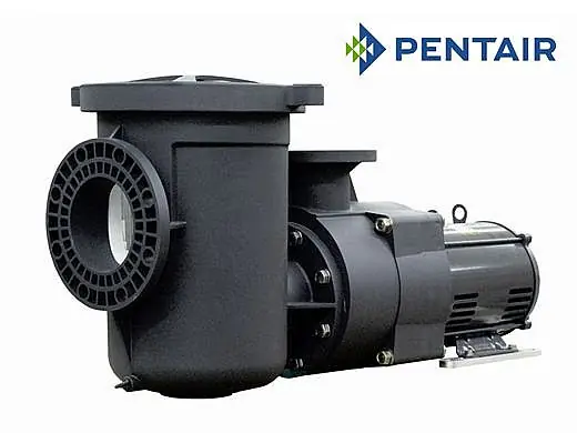 Pentair 340026 EQW300 Series 3HP NEMA Premium Efficiency Single Phase Waterfall Pool Pump with Strainer 208-230V