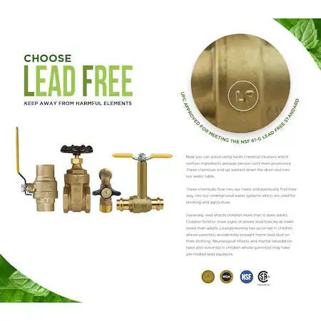 Everflow 205T212-NL FIP Cast Brass Gate Valve 2-1/2 Inch