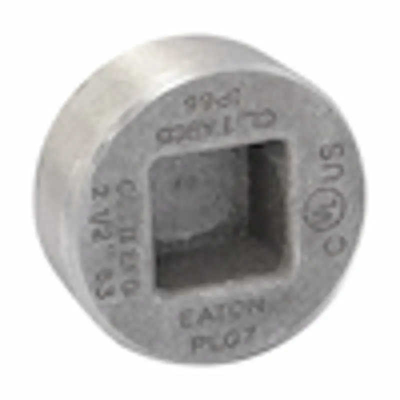 Multiple PLG7 2 1/2IN Recessed Head Plug