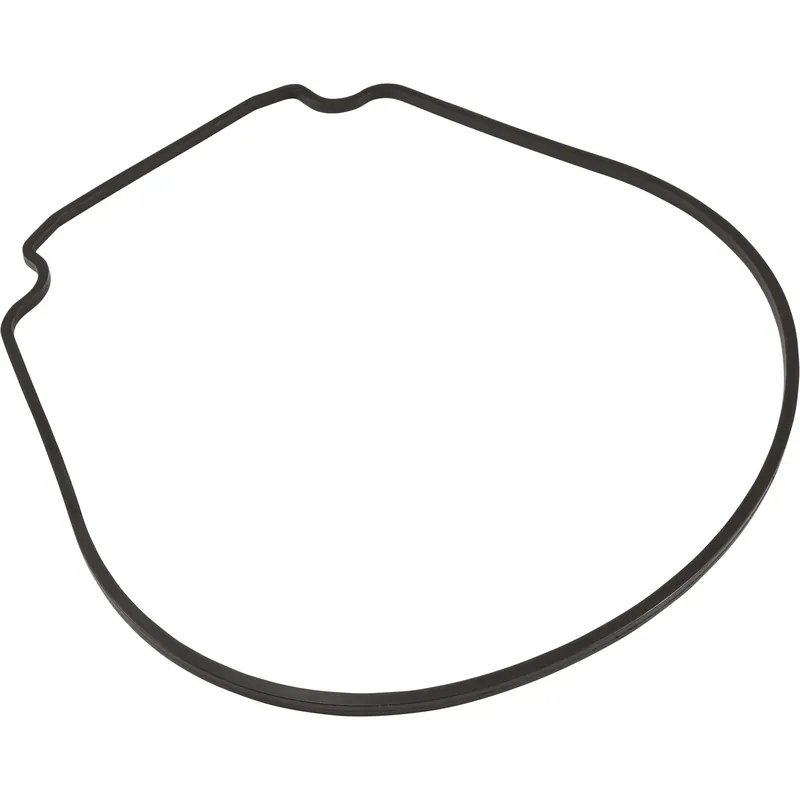 JANDY R0555900 Seal Plate Gasket for Zodiac JHP/JHPU Pumps