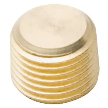 Legris 02051000 Brass Hex Plug 1/8 BSPT(m)