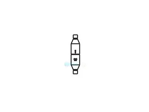 Raypak H000006 Check Valve Heat Pump Pool Heater