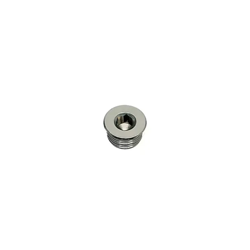 Legris 09190019 M5X0-8 Plug Int Hex Head