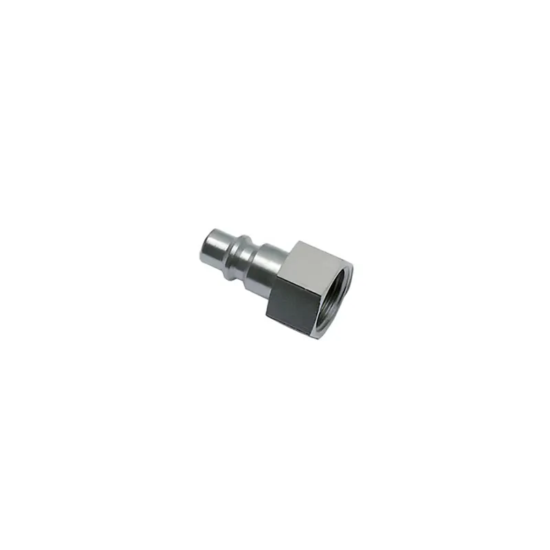 Legris 90862313 1/4 BSPP Female Thread Plug